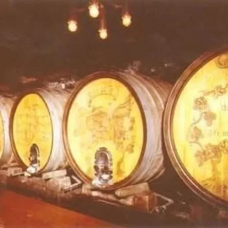 Fuer Bis Zu Fuenf Personen By Interhome Appartement Pommern