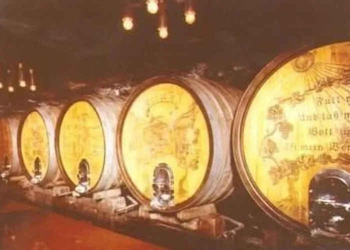 Fuer Bis Zu Fuenf Personen By Interhome Appartement Pommern